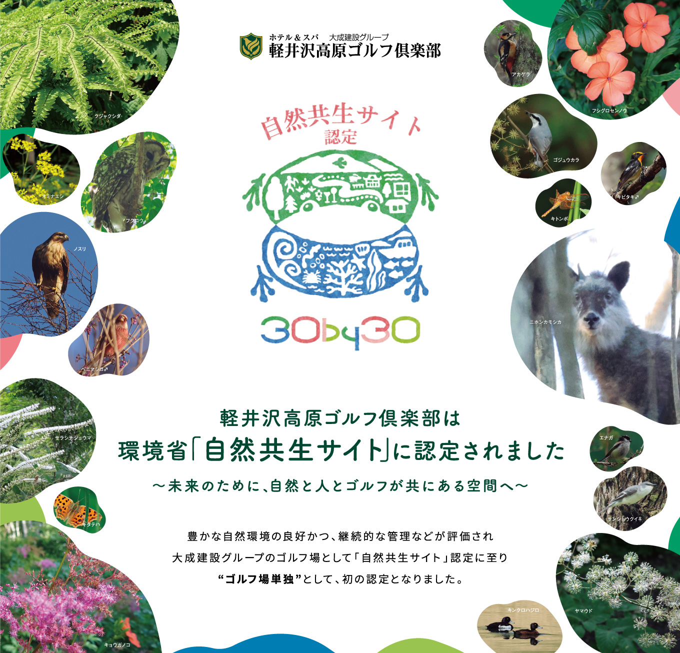 軽井沢高原ゴルフ倶楽部は環境省「自然共生サイト」に認定されました